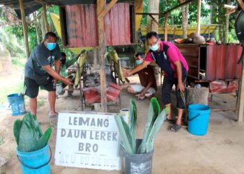 SEBAHAGIAN daripada 10 bersaudara giat menyiapkan tempahan lemang daun lerek sempena musim perayaan Tahun Baharu Cina ketika ditemui Utusan Malaysia di Kampung Chenaga, Repah, Tampin, Negeri Sembilan semalam. – FOTO/NOR AINNA HAMZAH