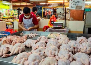 HARGA ayam dijangka mengalami kenaikan bulan hadapan. - GAMBAR HIASAN