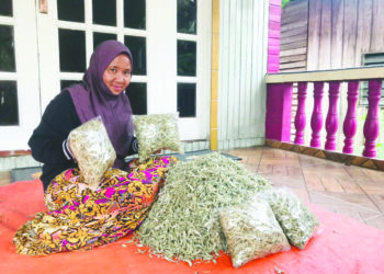 1)	Naian Jalani menjual lebih 30 kilogram ikan bilis pelbagai saiz dalam sehari.