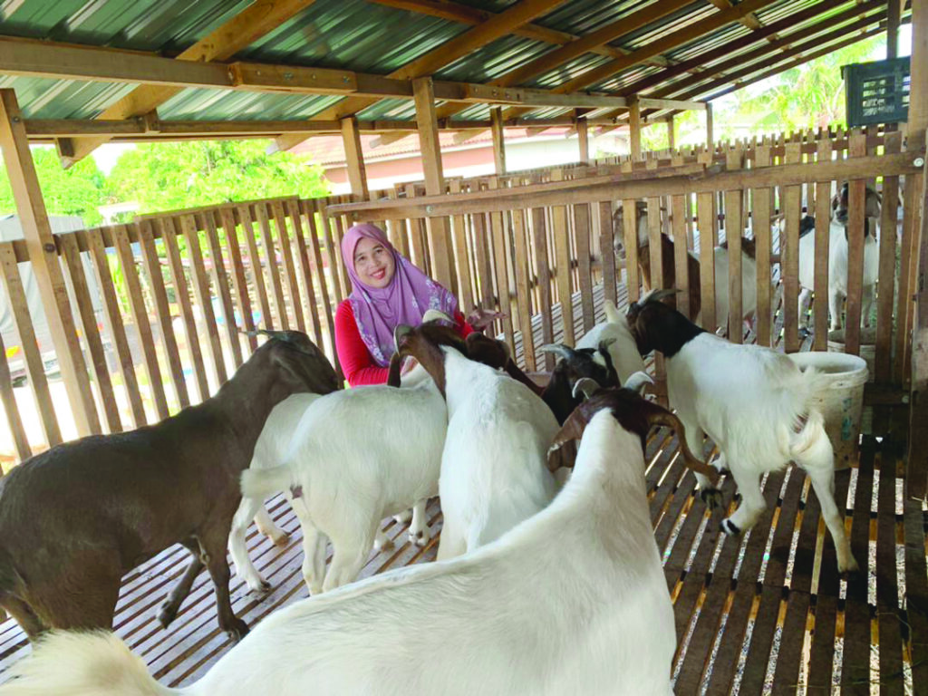 Usaha tiga perniagaan untuk kelangsungan hidup - Melaysiakini