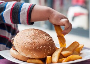 Pemakanan antara yang menyumbang terhadap kegemukan berlebihan. - GAMBAR HIASAN