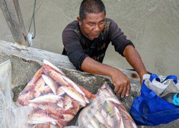 LKIM akan banyak jualan ikan secara terus kepada pelanggan tanpa melalui peraih. - Gambar hiasan