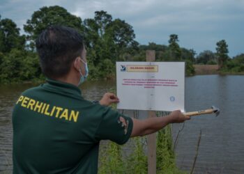 KAKITANGAN Jabatan Perlindungan Haiwan Liar dan Taman Negara (Perhilitan) memasang papan tanda larangan masuk selepas selesai menempatkan perangkap buaya di kawasan lombong tinggal di Kuala Nerus, semalam. - UTUSAN/PUQTRA HAIRRY ROSLI