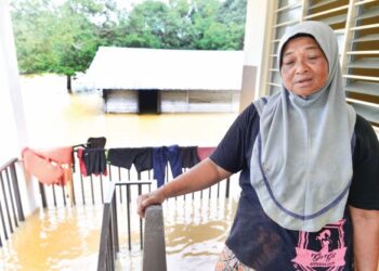 NORHASNAH Md. Yunus meninjau keadaan air bah yang tidak menentu keadaannya serta bimbang jika berlaku banjir gelombang kedua. Di belakang Norhasnah kelihatan rumah lama beliau yang lebih separuh telah ditenggelami air. - FOTO/SHAIKH AHMAD RAZIF