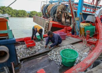 KIRA-KIRA 1,000 nelayan khususnya nelayan pesisir pantai di Perlis terjejas teruk berikutan kekurangan hasil laut akibat pencerobohan nelayan luar yang menangkap siput secara tidak sah di perairan negeri ini. - UTUSAN/SHAHIR NOORDIN