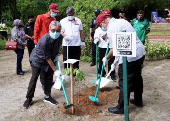 RUMAIZI Baharin (kiri) menanam pokok merbau sempena Program Perak Bumi Lestari di Taman Dr. Seenivasagam di Ipoh. - UTUSAN/ZULFACHRI ZULKIFLI