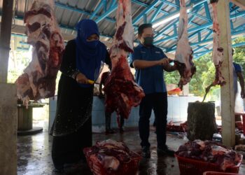 WAN Saiful Wan Jan  dan Halimaton Shaadiah Saad melapah daging pada program ibadah korban Pengerusi PTPTN di Changlun, Kubang Pasu hari ini. - UTUSAN/MOHD. RAFIE AZIMI