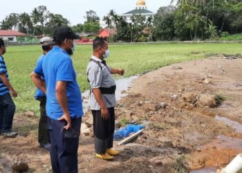 BEBERAPA pesawah menunjukkan sawah padi yang diliputi pasir dari Sungai Paya Luboh akibat banjir yang melanda kawasan tersebut Isnin lalu. – FOTO/AMRAN MULUP