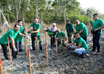 BEBERAPA kakitangan SME Bank menanam pokok paya bakau bagi menyokong usaha kerajaan menanam 100 juta pokok menjelang 2025.