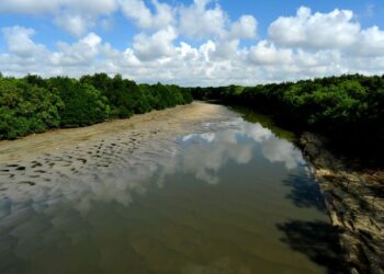 PENDUDUK di sekitar Pasir Gudang masih bimbang kejadian pencemaran sisa toksik di Sungai Kim Kim pada Mac dua tahun berulang dan mengancam keselamatan mereka.