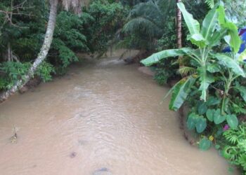 KEADAAN air di Sungai Kupang yang keruh dipercayai percayai berpunca daripada projek tanaman musang king di Gunung Inas, Kupang, Baling. - IHSAN  CAP