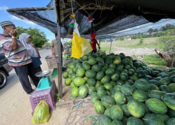 SEBAHAGIAN peniaga masih meneruskan perniagaan dan sanggup berdepan tindakan saman PBT untuk menyelamatkan beratus tan tembikai rosak. - FOTO/TOREK SULONG