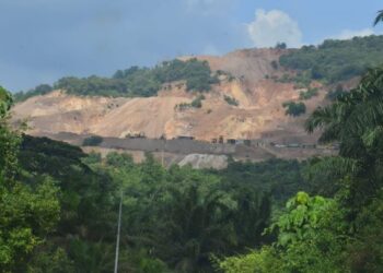 KEGIATAN penerokaan yang masih dijalankan berhampiran Tasik Chini di Chini, Pekan, Pahang. 
UTUSAN/SHAIKH AHMAD RAZIF