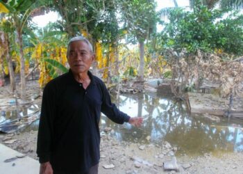 PAIMIN Dol Kamil menunjukkan kebun pokok pisangnya yang musnah akibat banjir di RTB Bukit Changgang, Kuala Langat, Selangor. - UTUSAN/FAISOL MUSTAFA