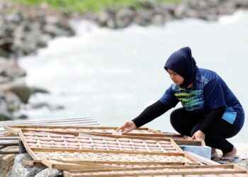 NOR Diana Mohd. Azmi menyusun belacan untuk dikeringkan di Kampung Balik Bukit, Tanjung Kling, Melaka.