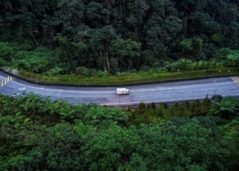 Hutan yang terpisah antara satu sama lain akibat pembangunan termasuk pembinaan lebuh raya menyusahkan kehidupan haiwan sehingga tersesat masuk ke kawasan penempatan manusia. - Gambar hiasan