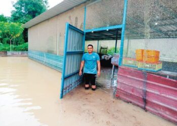 LADANG ternakan itik diusahakan Mohd. Azim Omar masih digenangi banjir di Jalan Maryani, Kampung Jawa, Segamat. -UTUSAN/FARAHWAHIDA AHMAD