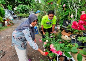 HABIBAH Yusop menunjuk bunga ros kepada pelanggannya  yang dijual di nurseri miliknya di Anak Bukit, Alor Setar hari ini.