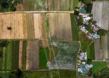 Pemandangan udara kawasan dipercayai diteroka menjadi kebun sayur haram oleh warga asing yang dirakam di Pulau Meranti, Puchong kelmarin. UTUSAN/MUHAMAD IQBAL