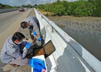 Dua kakitangan sebuah makmal bebas melakukan kerja-kerja mengambil sampel air Sungai Kim Kim pada 15 April 2020. - UTUSAN/RAJA JAAFAR ALI