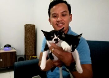 Muhamad Azril Maarof menunjukkan dua ekor anak kucing jalanan bernama Robin dan Ronin yang dibelanya untuk rawatan sejak dua bulan lalu. UTUSAN/NOR AINNA HAMZAH