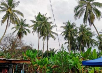 PENDUDUK menunjukkan galah panjang atau batang pencantas pelepah kelapa sawit yang dipasang booster untuk mendapatkan capaian internet di Teluk Intan. –  UTUSAN/AIN SAFRE BIDIN