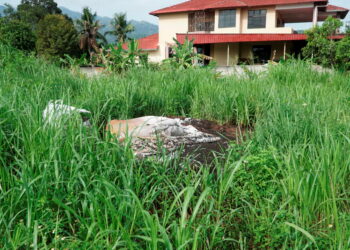 GUNI najis haiwan yang dibuang di kawasan tanah kosong berhampiran kediaman penduduk di Persiaran Kledang 1, Kampung Tersusun Kledang Utama, Sungai Siput. - UTUSAN/ ZULFACHRI ZULKIFLI.