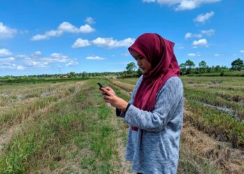 NASIEYRA Amyliana Muhd. Nasir menunjukkan bagaimana dia terpaksa ke tengah sawah untuk mendapatkan capaian internet bagi mengikuti sesi PdPR semasa membuat persediaan untuk peperiksaan STPM di Seberang Perak di Pasir Salak, Julai lalu - MINGGUAN/ MOHAMAD HAFIZI MOHD. SAID