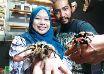 Euriqqa Rafar (kiri) bersama suami, Najmuddin Yusof menunjukkan tarantula kesayangan mereka.