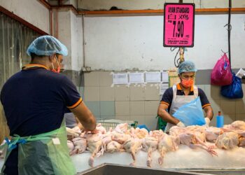 Pekerja sebuah pasaraya menyusun ayam segar yang dijual dengan harga RM7.90 sekilogram dalam tinjauan di sebuah pasar raya di Kuchai Lama, Kuala Lumpur pada 22 April 2021. - Utusan/ MUHAMAD IQBAL ROSLI