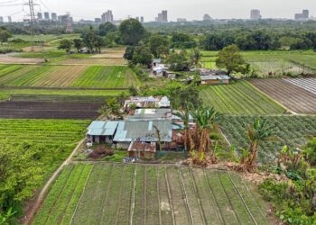 Tinjauan dari udara merakamkan kawasan penempatan haram warga asing yang turut membuka ladang sayur untuk dikomersialkan di Pulau Meranti, Puchong, Selangor. – UTUSAN/SHIDDIEQIIN ZON