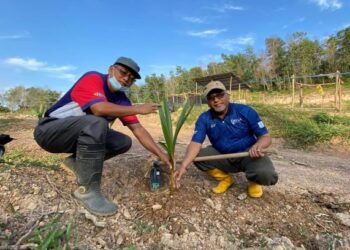 DR. ABD. Halim Mohd. Noor (kanan) dan  Dr. S. Salahudin Suyurno menanam anak pokok kelapa Mataq di Wakaf Dusun Ilmu di UiTM Kampus Alor Gajah, Melaka.