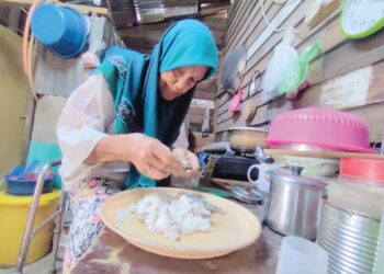 WAN Hasnah Wan Daud meleraikan ikan rebus dan digaul bersama nasi untuk diberi makan kucing peliharaannya di rumahnya di Kampung Indah, Bahau, Jempol, Negeri Sembilan. - UTUSAN/NURULAZMAH SHAFIQAH KHAIRUL AZHAR.