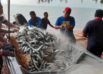 RIZAL Hashim (empat dari kanan) sambil dibantu rakan serta saudara-mara mengeluarkan ikan cencaru daripada jaring yang ditangkapnya di Pantai Puteri, Melaka, semalam. – UTUSAN/ AMRAN MULUP