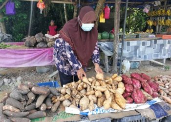 Zaidah Ramli menyusun ubi  sementara menunggu kedatangan pelanggan di gerainya. – UTUSAN/NIK NUR IZZATUL HAZWANI NIK ADNAN