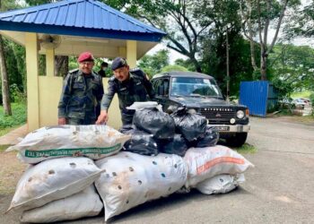 SUPERINTENDEN Abdul Razak Md. Din (kiri) melihat antara daun ketum yang dirampas sepanjang penugasan Op Wawasan Kedah/Perlis dalam sidang akhbar di Pos PB 11, Padang Besar, Perlis hari ini.- UTUSAN/MOHD. HAFIZ ABD. MUTALIB