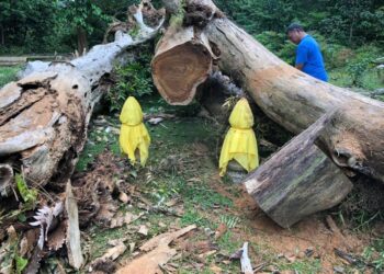 BATU nisan Makam Engku Khatib Tun Abdullah tidak terjejas walaupun dihempap pokok sena di makam Bukit Hanggus Kampung Bantal kelmarin.