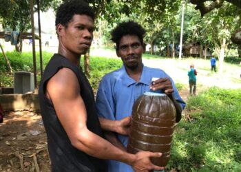 Madu tualang menjadi sumber pendapatan untuk kaum Bateq di Gua Musang, Kelantan.