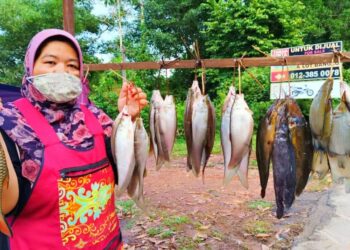 NIK Maznah Nik Mat menunjukkan ikan darat yang dijualnya di sekitar Rantau Panjang.-UTUSAN/Yatimin Abdullah