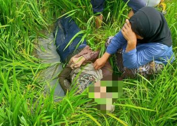 MAYAT Mohammad Hafizuddin Rosli ditemui lemas di kawasan sawah di Kuala Sungai Daun, Yan semalam.