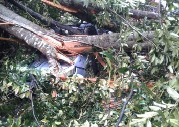 SEBUAH kereta dihempap pokok yang tumbang di Jalan Tranum-Bukit Fraser di Raub Pahang.