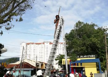 ANGGOTA bomba menjalankan kerja-kerja menyelamat menggunakan tangga dan burung itu dilepaskan daripada simpulan tali.