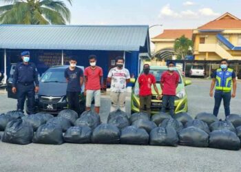 PPM Kuala Kedah menahan lima lelaki tempatan dan merampas 300 kilogram daun ketum yang cuba di seludup ke negara jiran di  pintu 3 tembok sempadan Malaysia-Thailand, Bukit Putih, Perlis semalam.