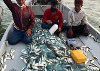 BOT nelayan tempatan yang dikendalikan tekong dan awak-awak Myanmar etnik Rohingya ditahan Maritim Malaysia Pulau Pinang ketika sedang menangkap ikan di kedudukan  7.3 batu nautika tenggara Pulau Rimau, petang semalam.