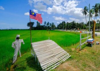 INISIATIF pemuda Kampung Kerandang di Jabi, Besut menceriakan kawasan sawah semasa tempoh Perintah Kawalan Pergerakan (PKP) menarik pengunjung ke D’Baruh Padi.