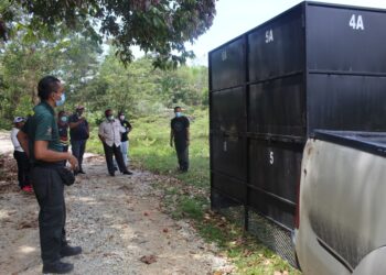 Jabatan Perhilitan Negeri Sembilan memasang perangkap bagi menangkap beruk dan kera liar di sekitar Kampung Chuai Hlir, Rembau hari ini.-UTUSAN/NOR AINNA HAMZAH.