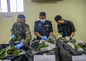 MULKIAMAN Manzar (tengah) menunjukkan sebahagian daun ketum yang dirampas di IPD Padang Terap di Kuala Nerang, Padang Terap.