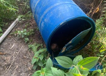 MAYAT seorang lelaki yang sudah reput dipercayai warga asing ditemukan di dalam sebuah tong dram di sebuah kebun di Tiga Kongsi, Simpang Ampat, Pulau Pinang semalam.