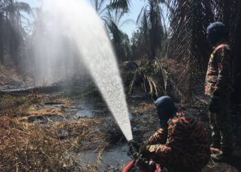 JBPM Melaka berdepan detik mencabar mengawal kebakaran lebih 24 jam dalam satu kejadian di Kampung Bukit Durian, Umbai, Melaka. - UTUSAN/DIYANATUL ATIQAH ZAKARYA