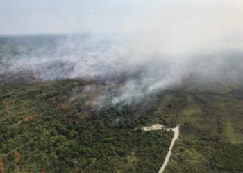 HUTAN Simpan Kekal Kuala Langat Selatan, Selangor yang terbakar dan mengambil masa sehingga enam minggu bagi memastikan pemadaman sepenuhnya. - IHSAN BOMBA SELANGOR